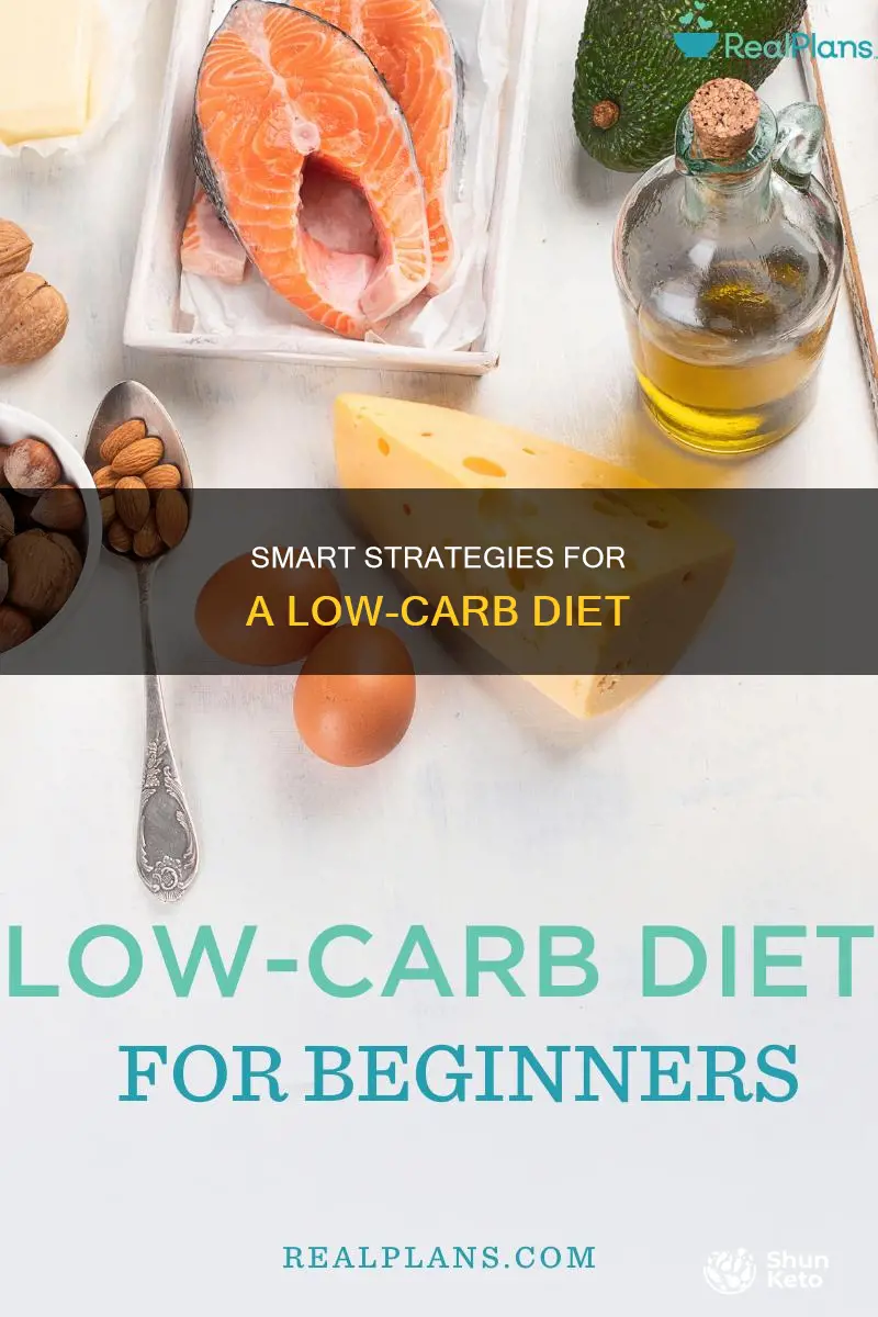 how to do lo carb diet