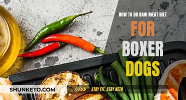 Raw Meat Diet: Feeding Your Boxer Dog
