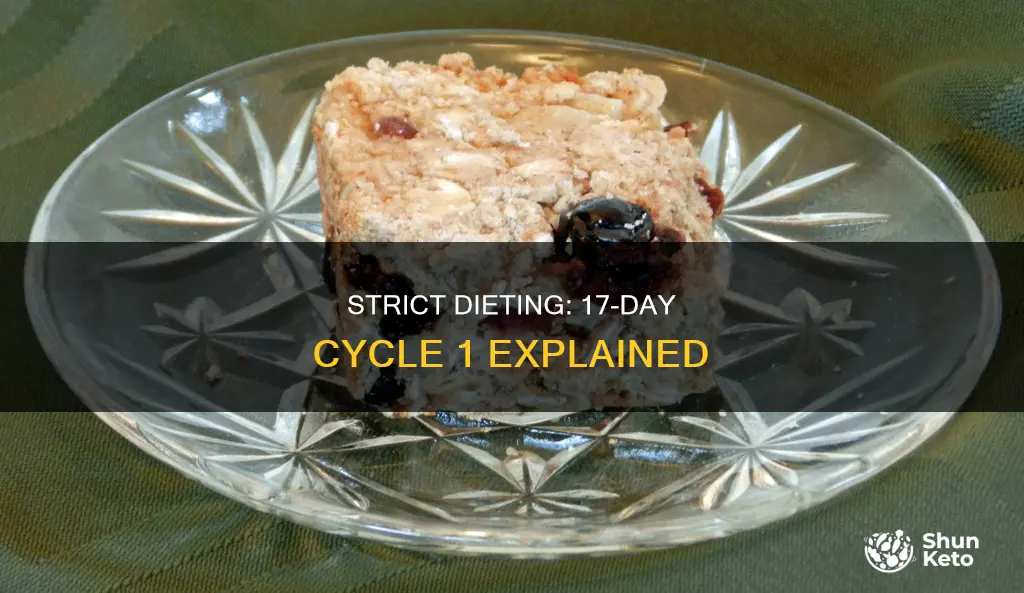 how to do the 17 day diet cycle 1