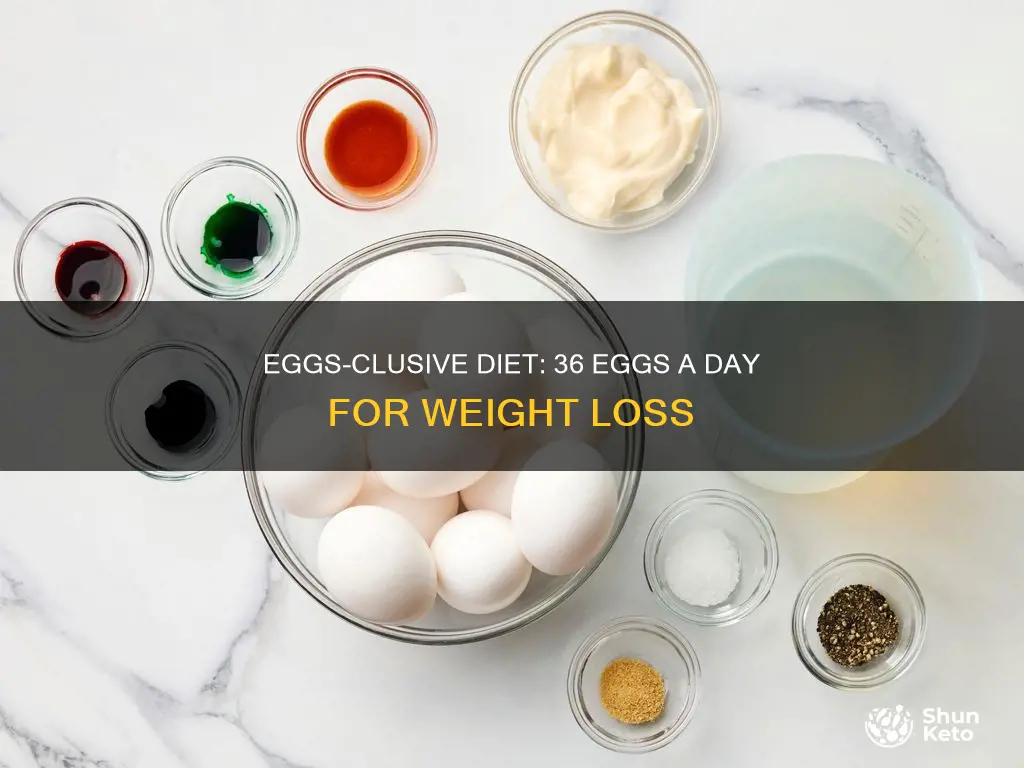how to do the 36 eggs a day diet