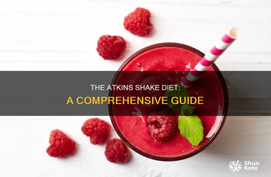how to do the atkins shake diet