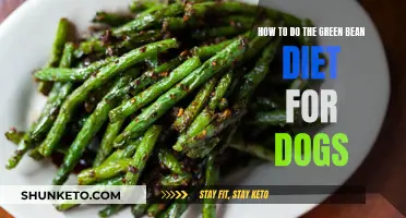 Green Bean Diet: A Healthy Dog's Weight Loss Plan