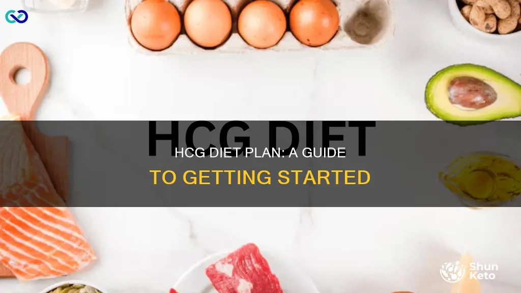 how to do the hcg diet plan