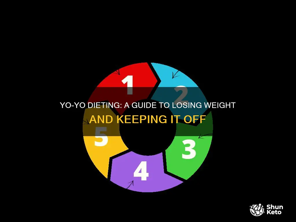 how to do yo yo diet plan