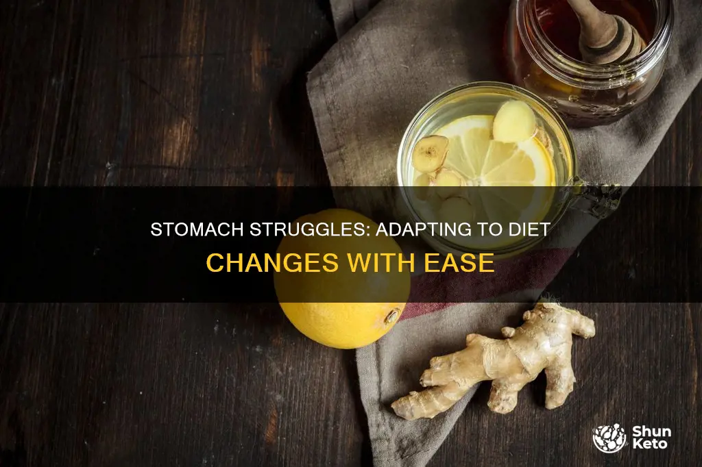 how to ease your stomach when changing diet