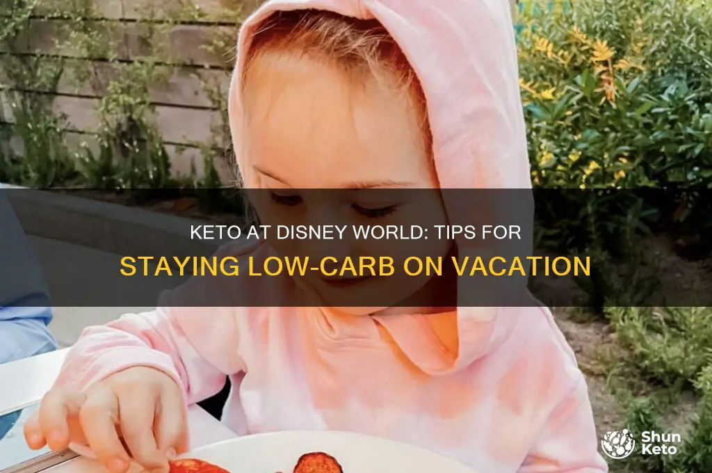 how to eat a keto diet at disney world