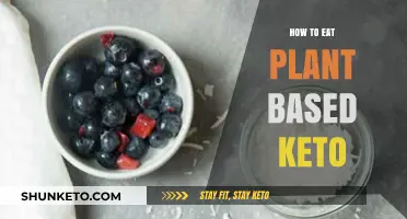 Mastering Plant-Based Keto: Delicious Low-Carb Vegan Eating Made Easy