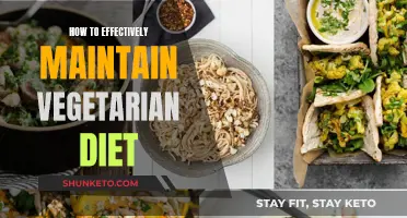 Maintaining a Healthy Vegetarian Diet: Tips for Success