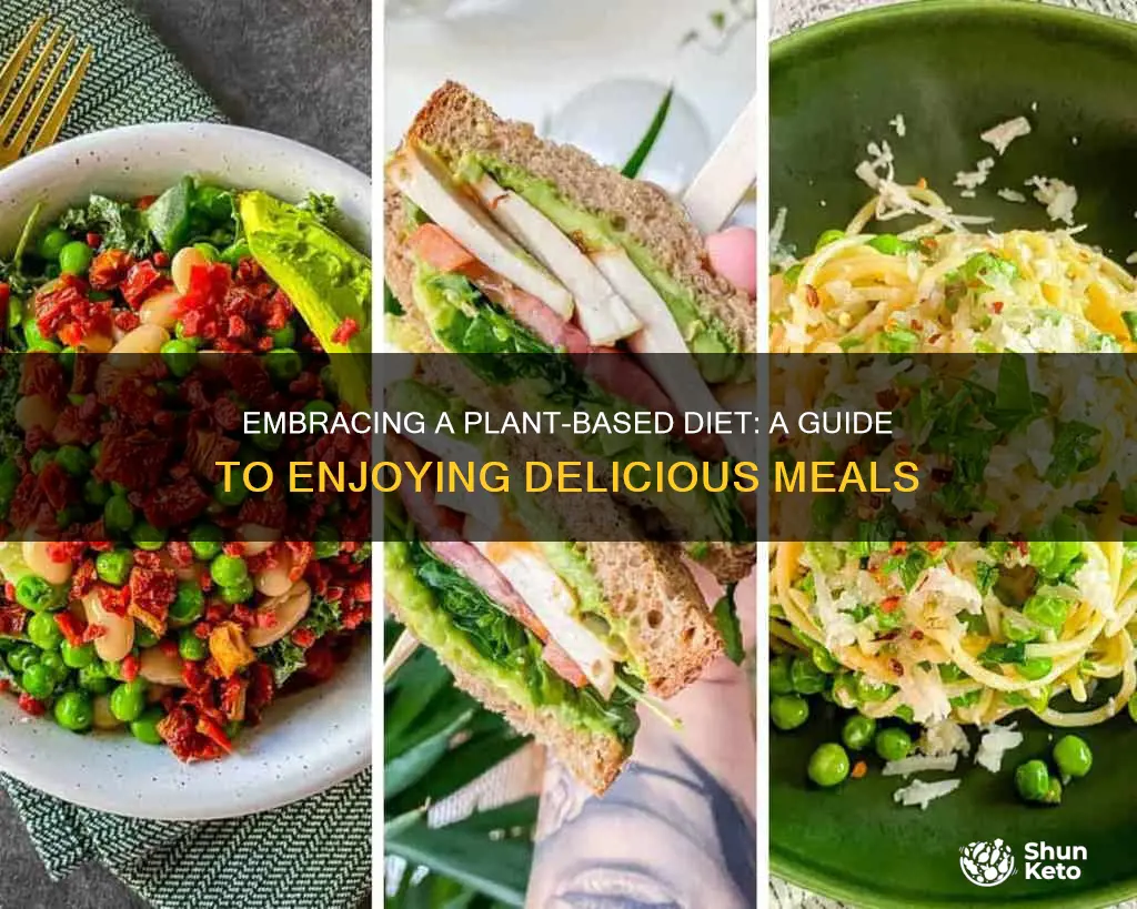 how to enjoy a plant based diet