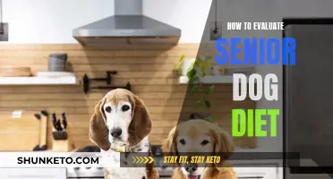 Senior Dog Diet: Evaluating Nutrition for Older Dogs