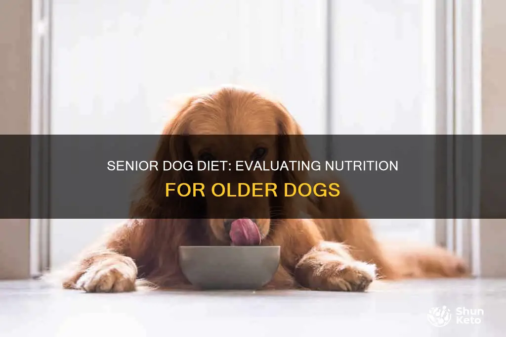 how to evaluate senior dog diet