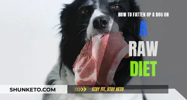 Fattening Your Dog with a Raw Diet: Tips and Tricks