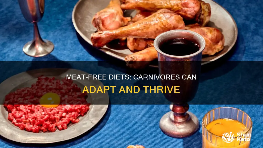 how to feed a carnivore a vegetarian diet