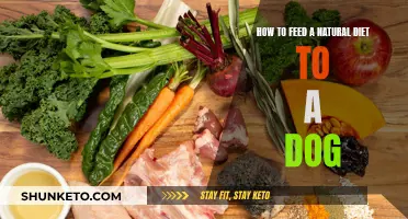 Feeding Dogs a Natural Diet: What You Need to Know