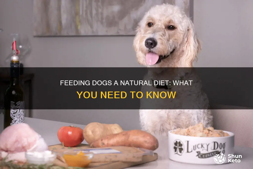 how to feed a natural diet to a dog