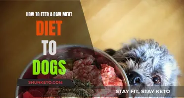 Raw Meat Diet: Feeding Your Dog the Natural Way