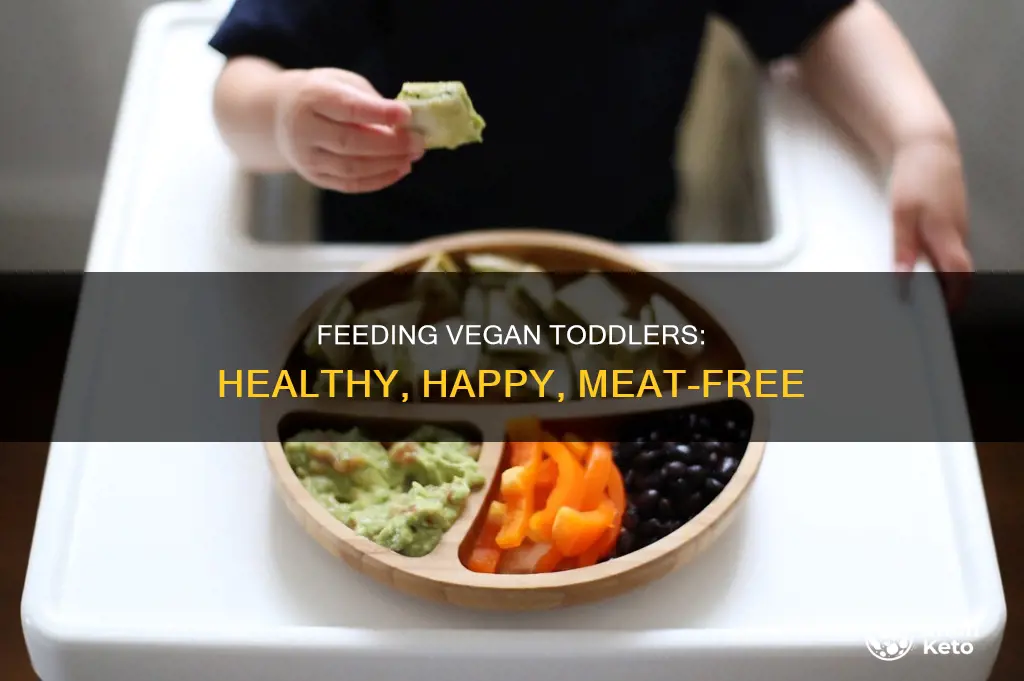 how to feed a toddler a vegan diet