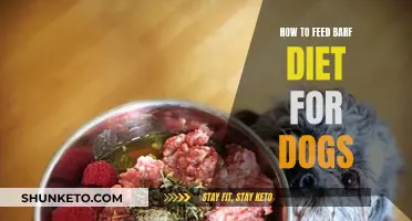 BARF Diet for Dogs: A Guide to Feeding Raw