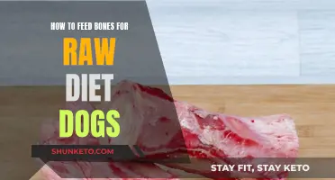 Raw Diet Dogs: Bone Meal Options and Benefits