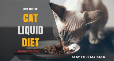 Liquid Diets for Cats: What, Why, and How?