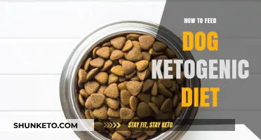 Feeding Your Dog a Ketogenic Diet: A Guide