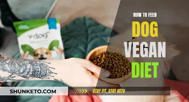 Vegan Dog Diet: Is It Possible?