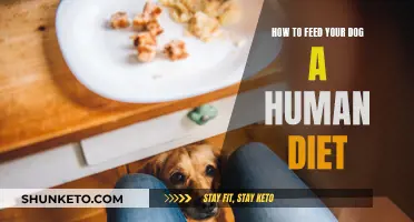 Human Food for Dogs: What, Why, and How?