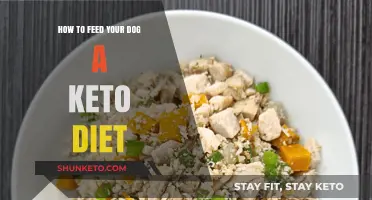Keto for Canines: A Guide to Feeding Your Dog Low-Carb