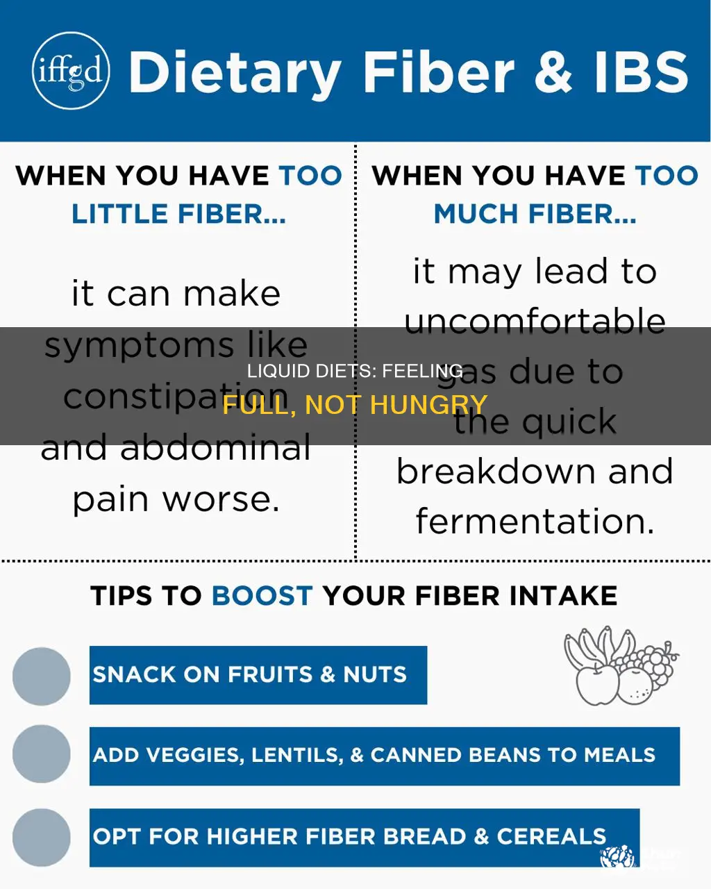 how to feel full all liquid diet