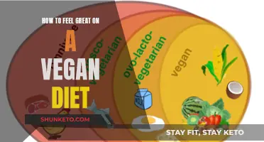 Vegan Diet: Feel Great, Energized, and Healthy