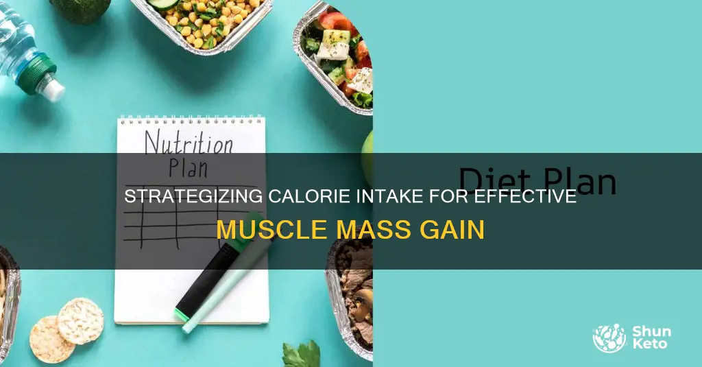 how to figure calories for a mass gain diet
