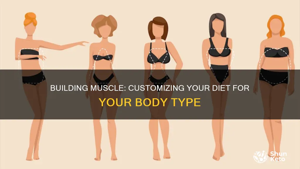 how to figure out diet for body type muscle