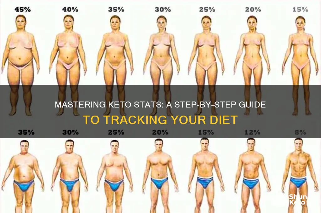 how to figure stats for keto diet