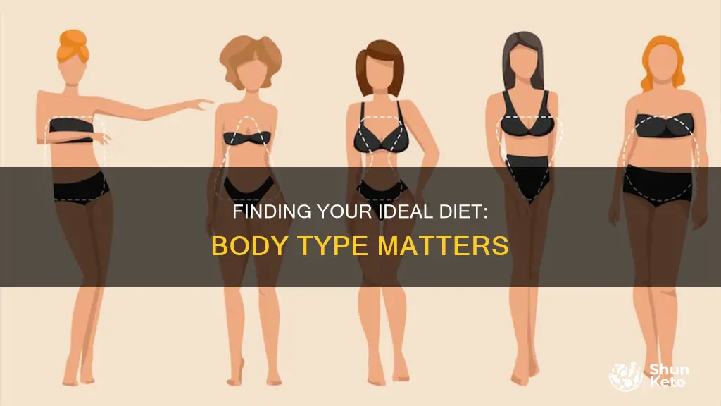 how to figure the proper diet for body types