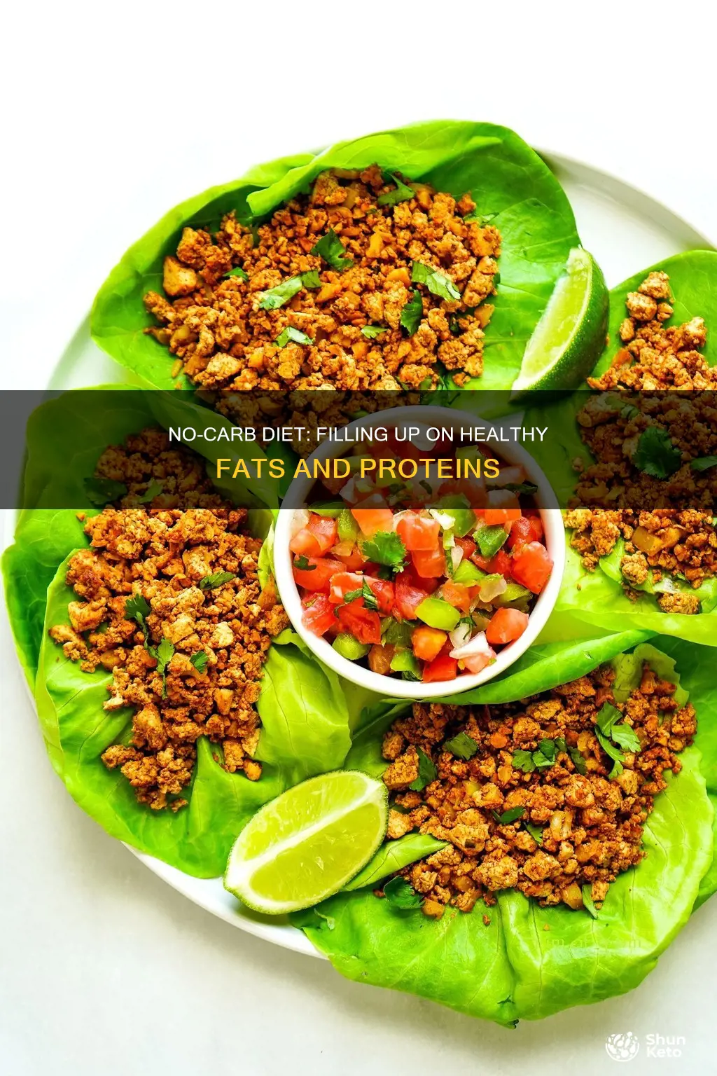 how to fill up on no carb diet