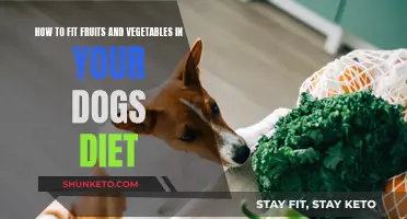 Benefits of Fruits and Veggies in Your Dog's Diet