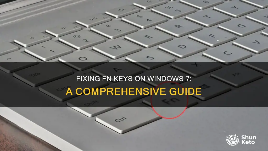 how to fix fn kets not working windows 7