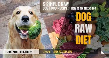 Fixing Greens for Your Dog's Raw Diet: A Healthy Guide