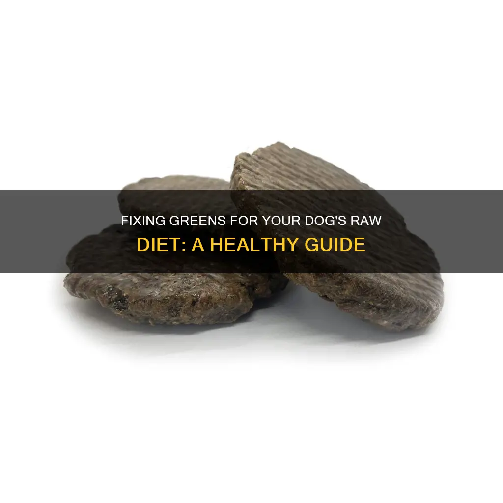 how to fix greens for dog raw diet