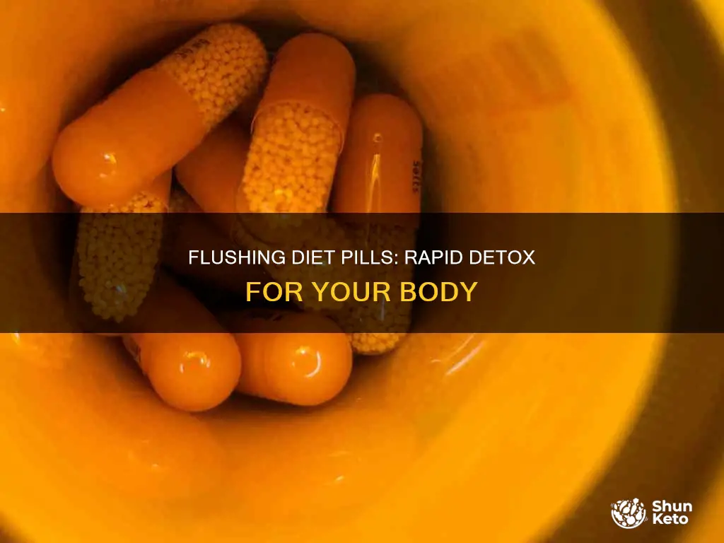 how to flush diet pills out of your system