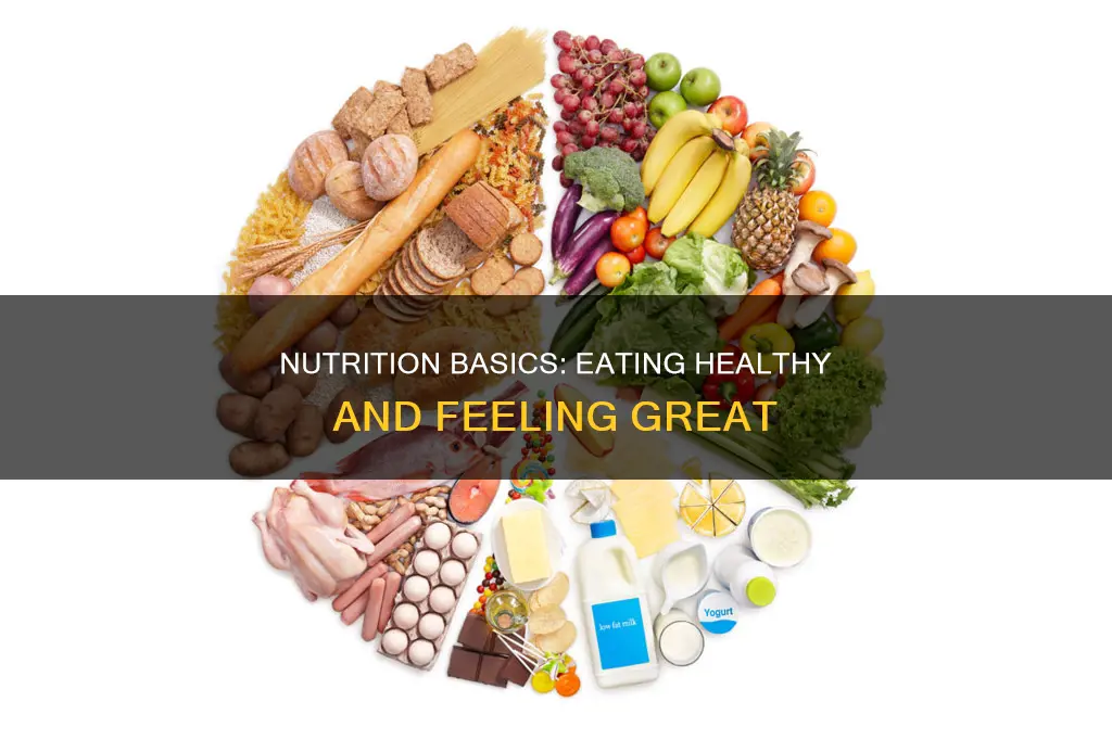 how to follow a nutritious diet