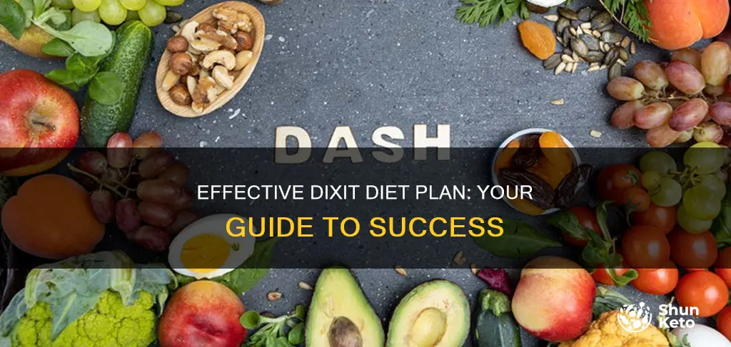 how to follow dixit diet plan