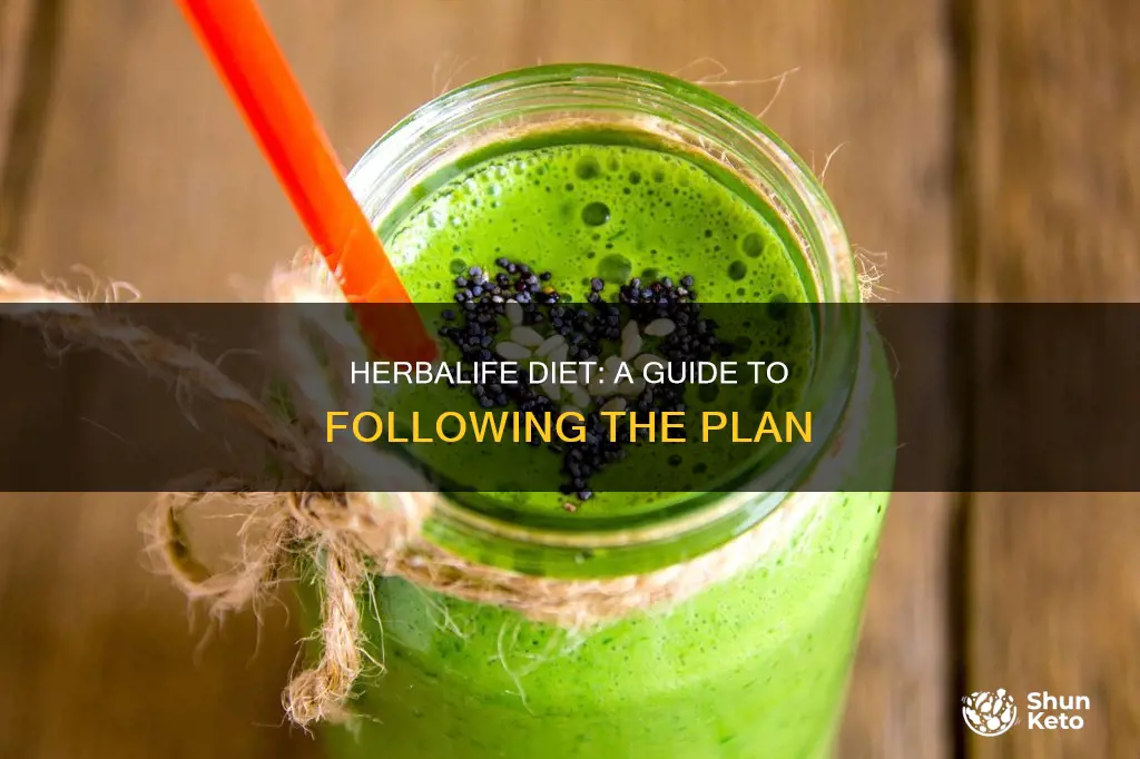 how to follow herbalife diet