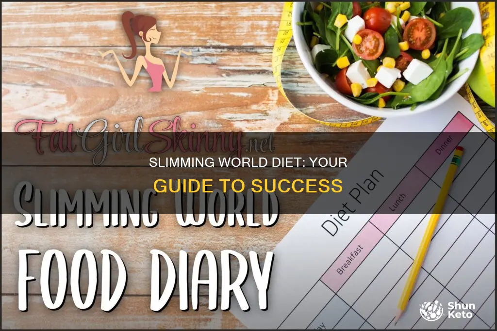 how to follow slimming world diet