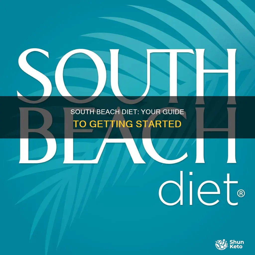 how to follow south beaxh diet