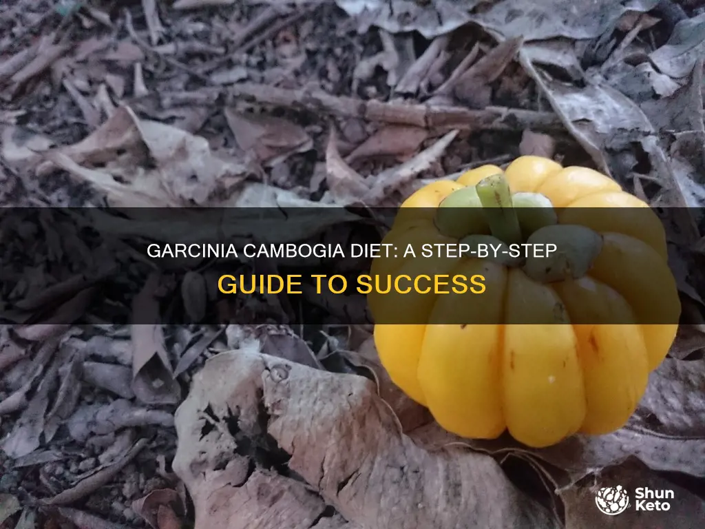 how to follow the garcinia cambogia diet
