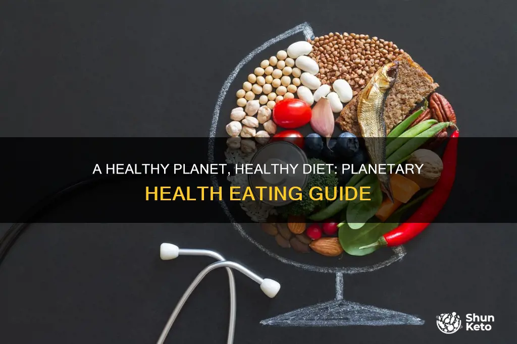 how to follow the planetary health diet