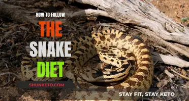 Snake Diet: A Guide to Fasting and Feasting
