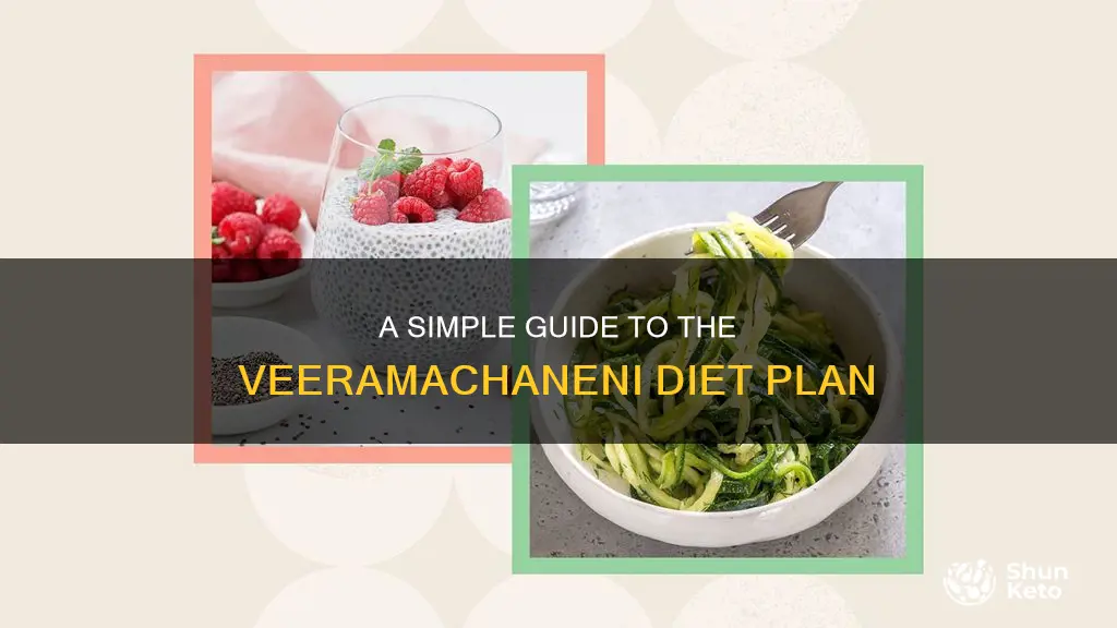 how to follow veeramachaneni diet plan