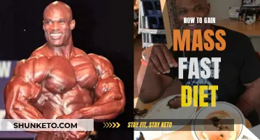 Gaining Mass: Fast Dieting Strategies for Quick Results
